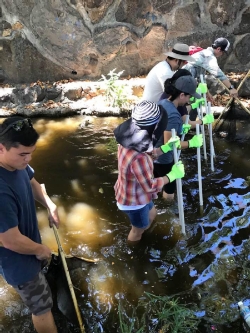 Wahipana Service Learning